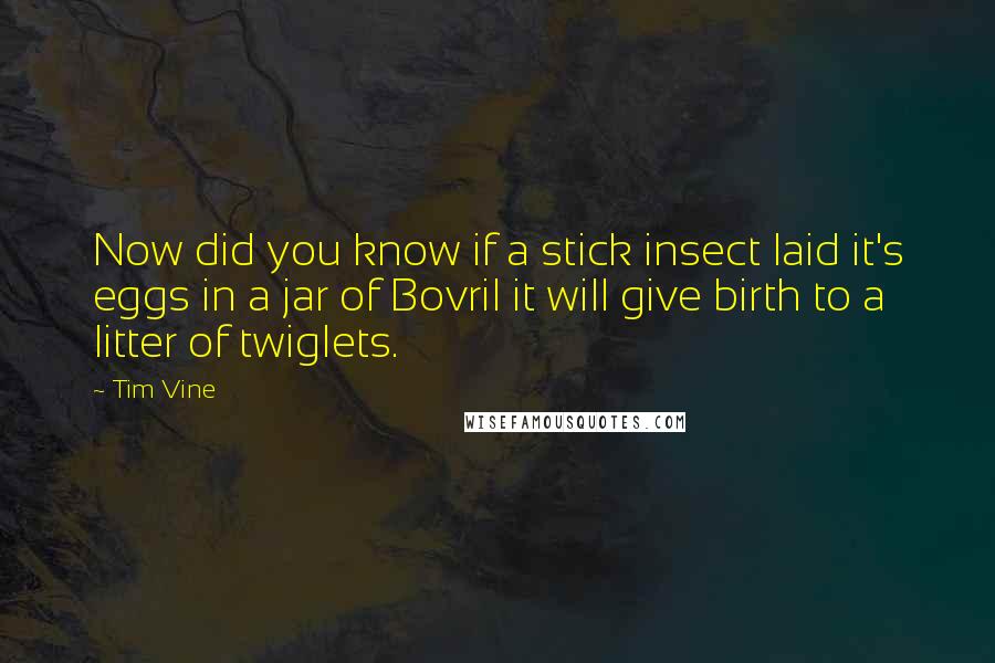 Tim Vine Quotes: Now did you know if a stick insect laid it's eggs in a jar of Bovril it will give birth to a litter of twiglets.