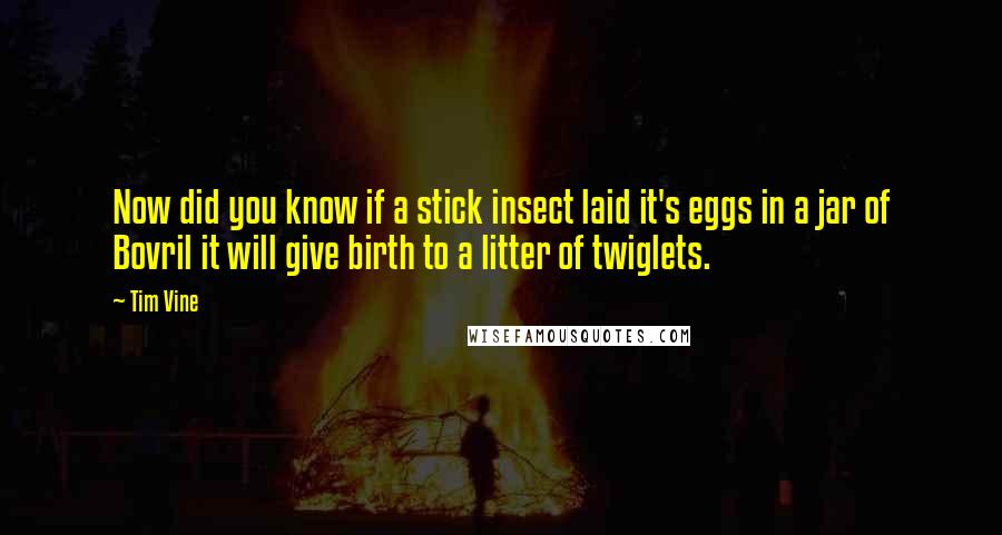 Tim Vine Quotes: Now did you know if a stick insect laid it's eggs in a jar of Bovril it will give birth to a litter of twiglets.