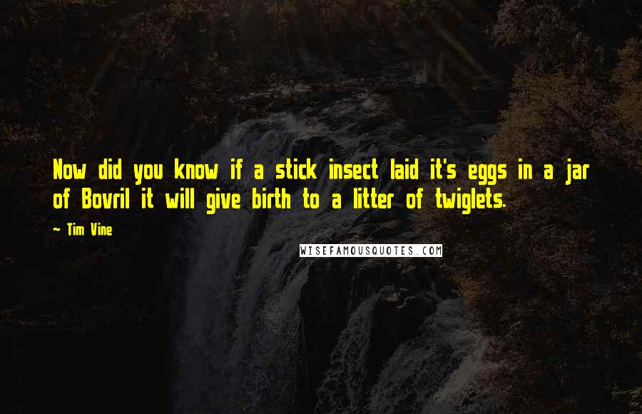 Tim Vine Quotes: Now did you know if a stick insect laid it's eggs in a jar of Bovril it will give birth to a litter of twiglets.