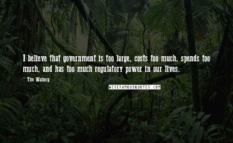 Tim Walberg Quotes: I believe that government is too large, costs too much, spends too much, and has too much regulatory power in our lives.