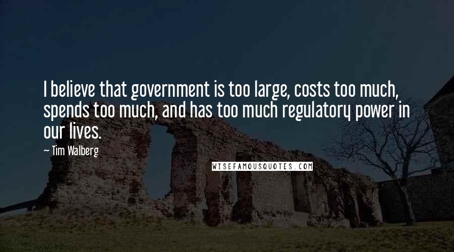 Tim Walberg Quotes: I believe that government is too large, costs too much, spends too much, and has too much regulatory power in our lives.