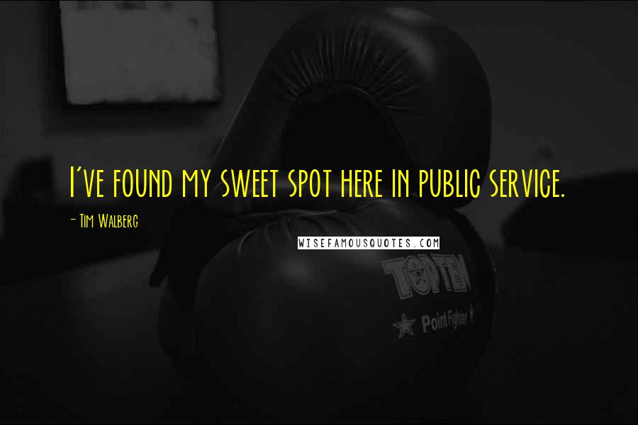 Tim Walberg Quotes: I've found my sweet spot here in public service.