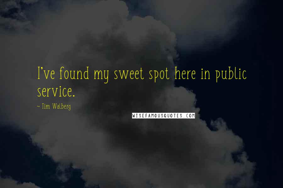 Tim Walberg Quotes: I've found my sweet spot here in public service.