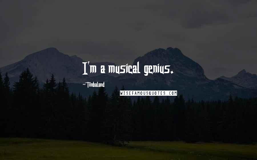 Timbaland Quotes: I'm a musical genius.