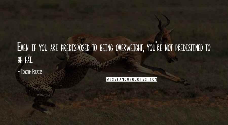 Timothy Ferriss Quotes: Even if you are predisposed to being overweight, you're not predestined to be fat.