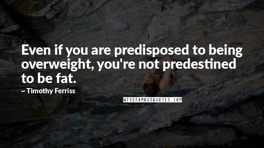 Timothy Ferriss Quotes: Even if you are predisposed to being overweight, you're not predestined to be fat.