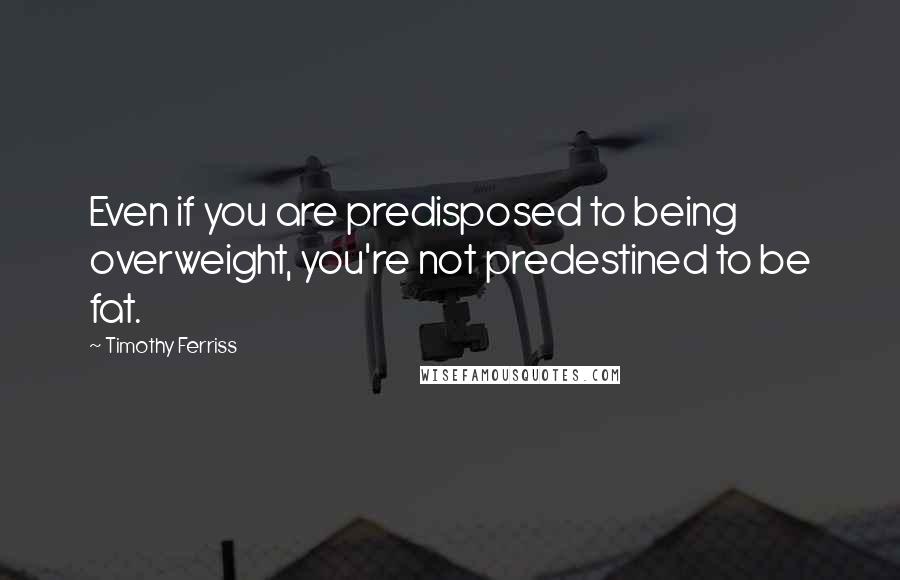 Timothy Ferriss Quotes: Even if you are predisposed to being overweight, you're not predestined to be fat.