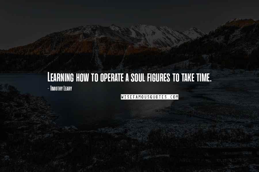 Timothy Leary Quotes: Learning how to operate a soul figures to take time.