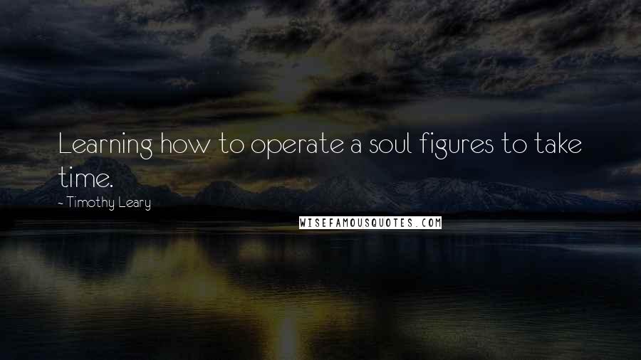 Timothy Leary Quotes: Learning how to operate a soul figures to take time.