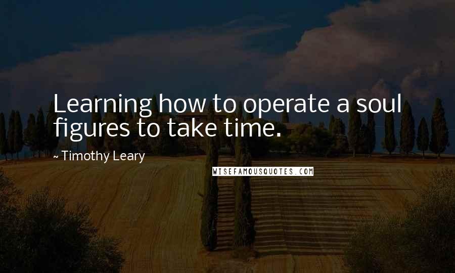 Timothy Leary Quotes: Learning how to operate a soul figures to take time.