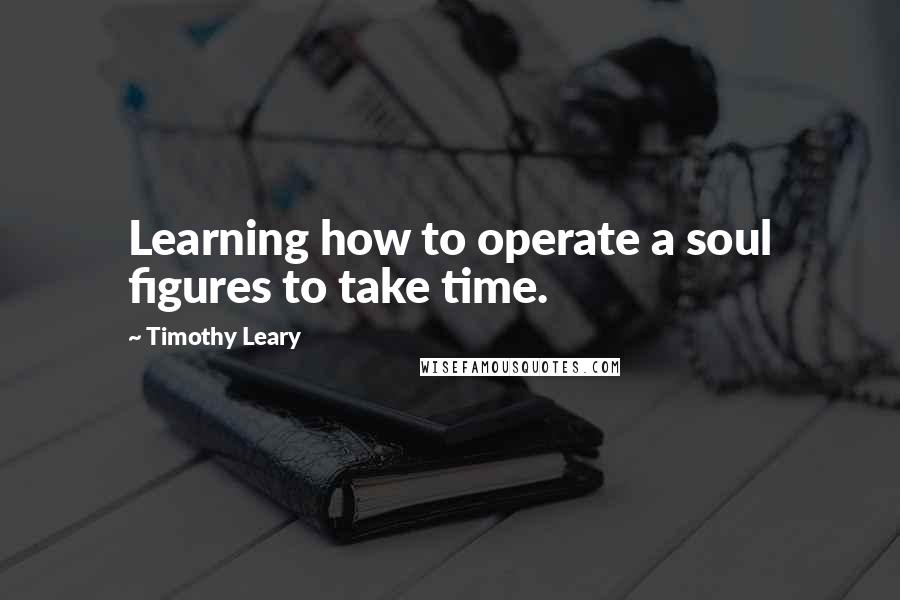 Timothy Leary Quotes: Learning how to operate a soul figures to take time.