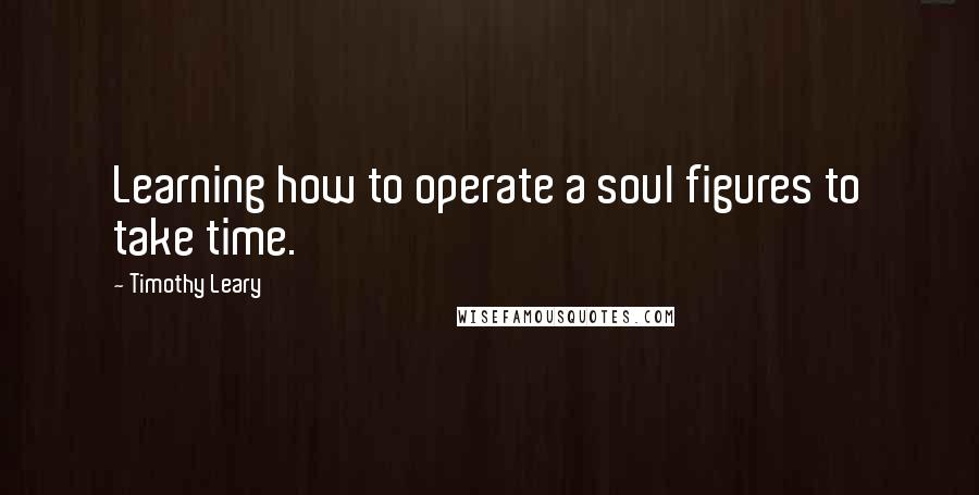 Timothy Leary Quotes: Learning how to operate a soul figures to take time.