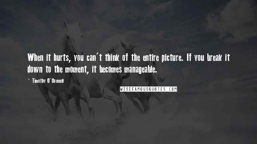 Timothy O'Donnell Quotes: When it hurts, you can't think of the entire picture. If you break it down to the moment, it becomes manageable.