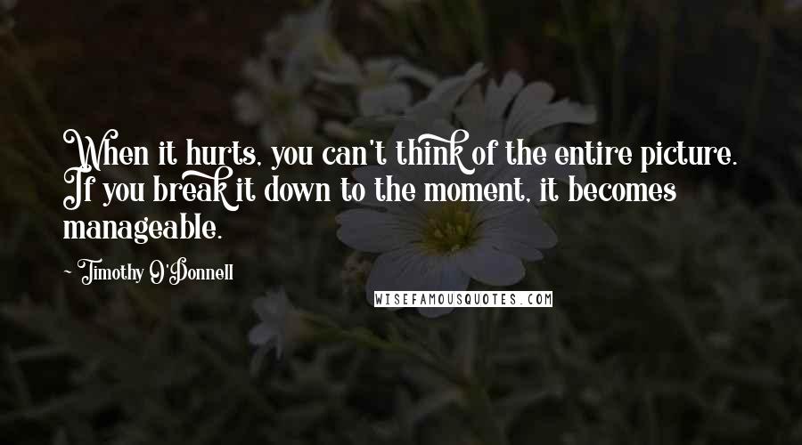 Timothy O'Donnell Quotes: When it hurts, you can't think of the entire picture. If you break it down to the moment, it becomes manageable.