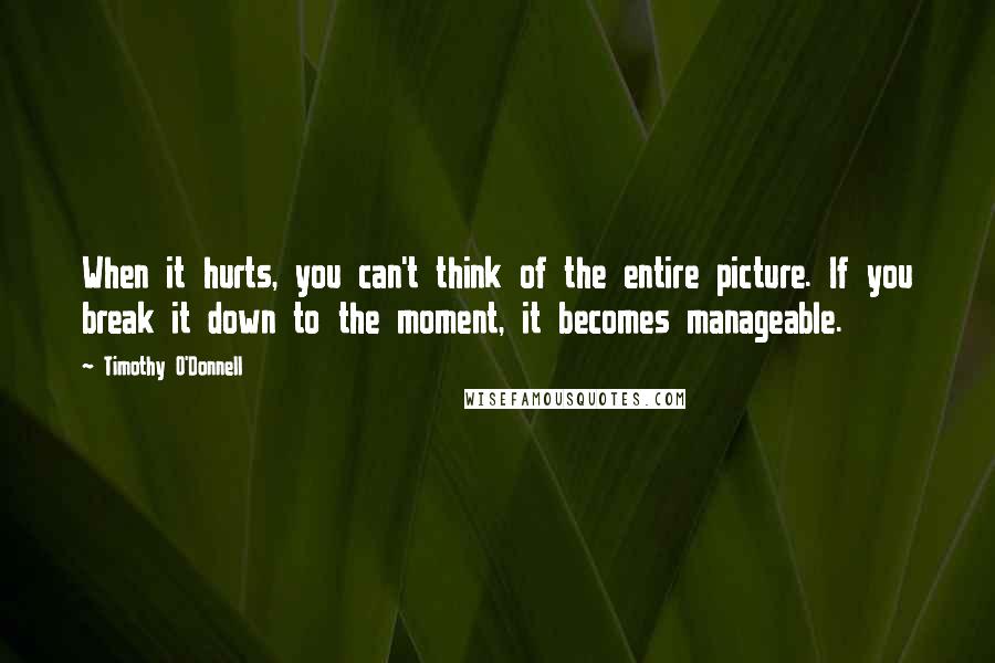 Timothy O'Donnell Quotes: When it hurts, you can't think of the entire picture. If you break it down to the moment, it becomes manageable.