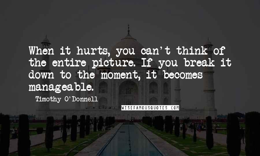 Timothy O'Donnell Quotes: When it hurts, you can't think of the entire picture. If you break it down to the moment, it becomes manageable.