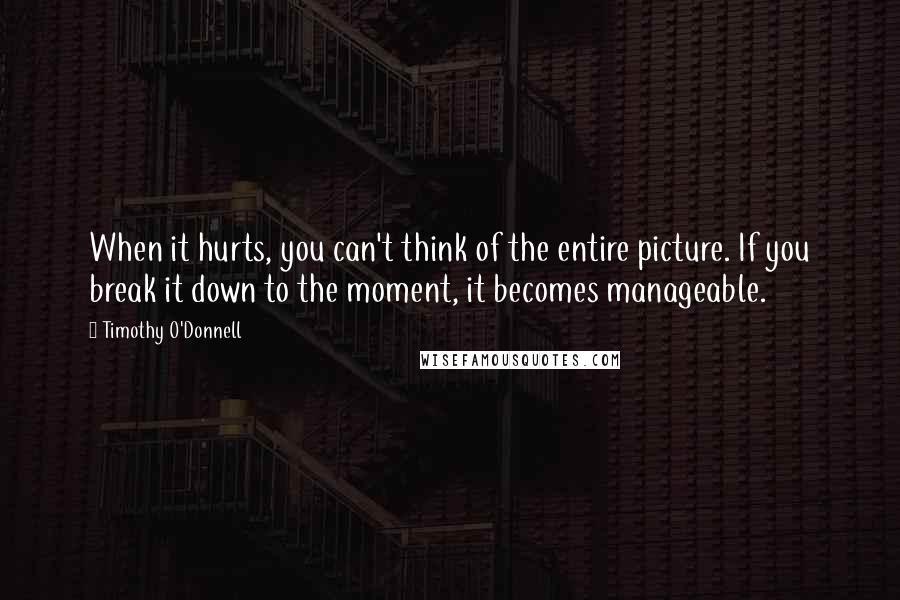 Timothy O'Donnell Quotes: When it hurts, you can't think of the entire picture. If you break it down to the moment, it becomes manageable.
