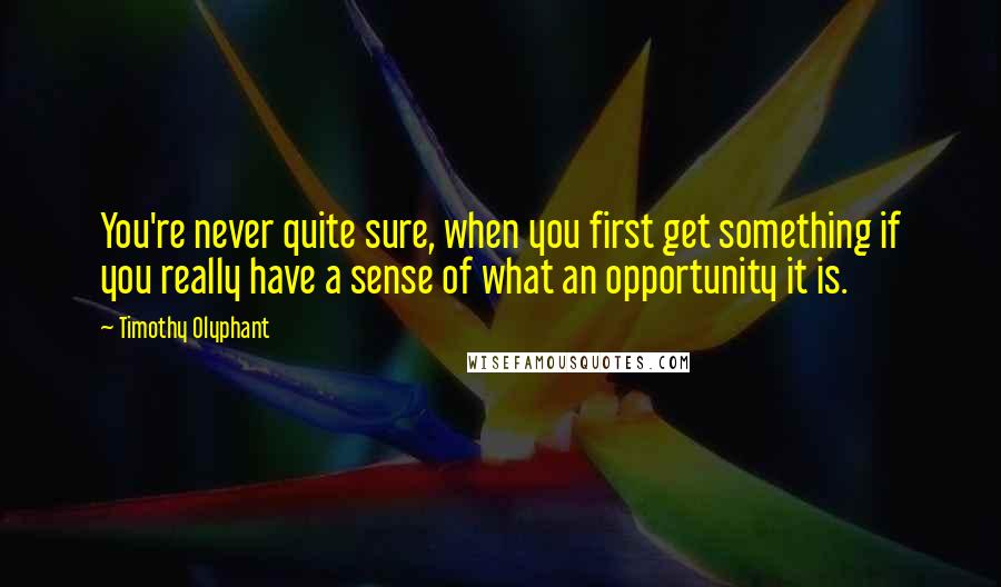 Timothy Olyphant Quotes: You're never quite sure, when you first get something if you really have a sense of what an opportunity it is.