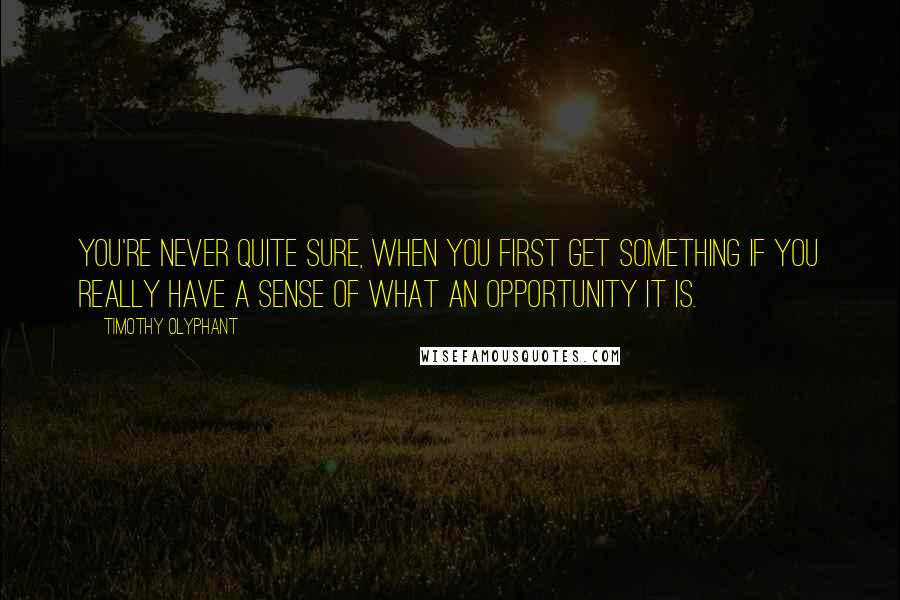 Timothy Olyphant Quotes: You're never quite sure, when you first get something if you really have a sense of what an opportunity it is.