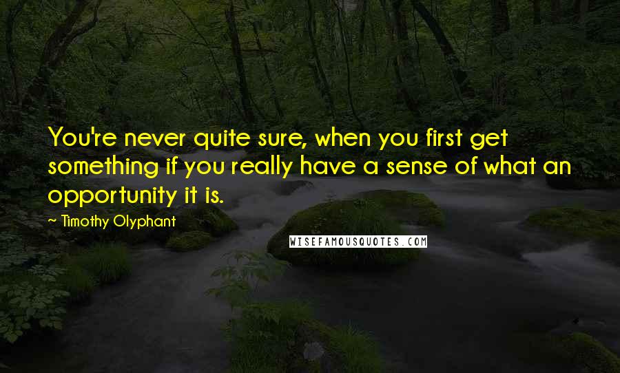 Timothy Olyphant Quotes: You're never quite sure, when you first get something if you really have a sense of what an opportunity it is.