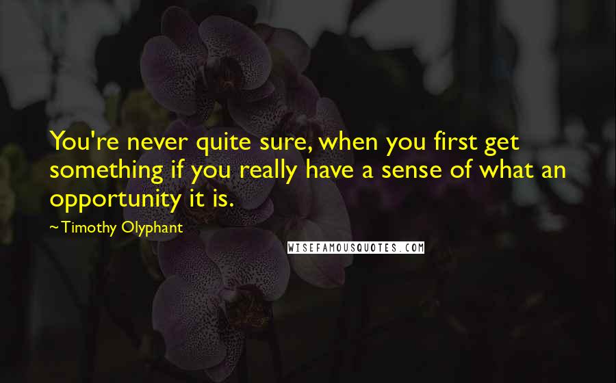 Timothy Olyphant Quotes: You're never quite sure, when you first get something if you really have a sense of what an opportunity it is.