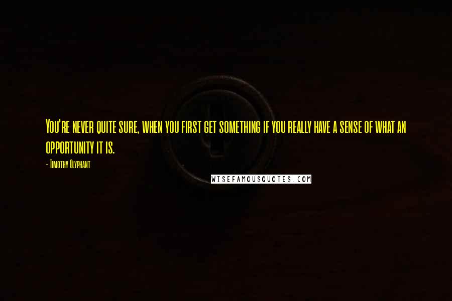 Timothy Olyphant Quotes: You're never quite sure, when you first get something if you really have a sense of what an opportunity it is.