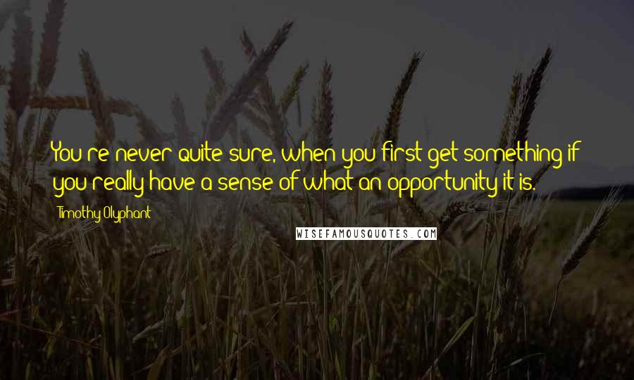 Timothy Olyphant Quotes: You're never quite sure, when you first get something if you really have a sense of what an opportunity it is.