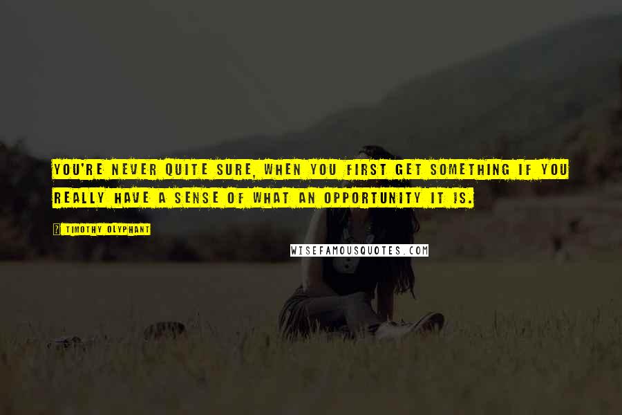 Timothy Olyphant Quotes: You're never quite sure, when you first get something if you really have a sense of what an opportunity it is.