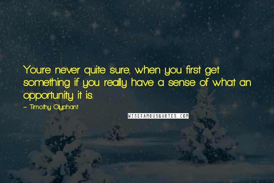 Timothy Olyphant Quotes: You're never quite sure, when you first get something if you really have a sense of what an opportunity it is.