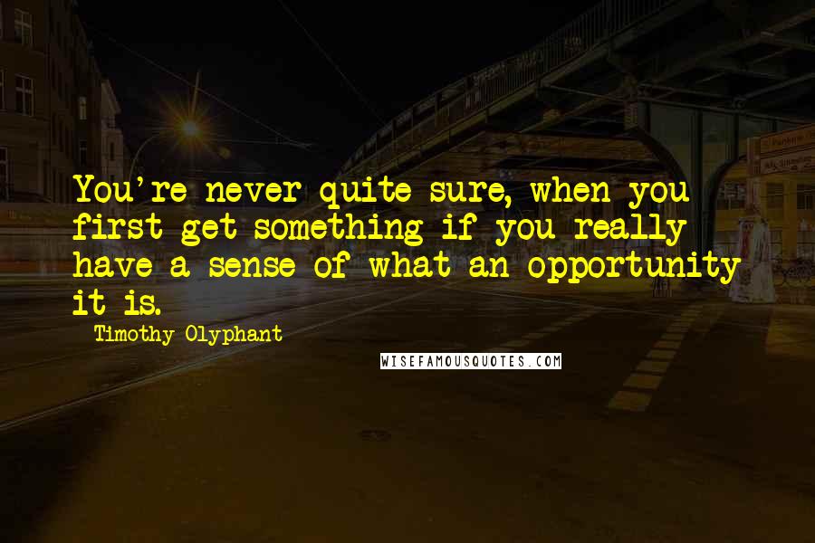 Timothy Olyphant Quotes: You're never quite sure, when you first get something if you really have a sense of what an opportunity it is.