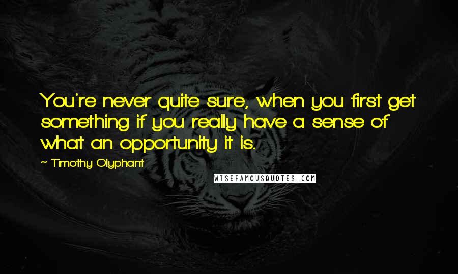 Timothy Olyphant Quotes: You're never quite sure, when you first get something if you really have a sense of what an opportunity it is.