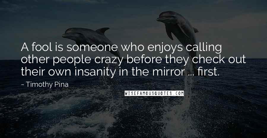 Timothy Pina Quotes: A fool is someone who enjoys calling other people crazy before they check out their own insanity in the mirror ... first.