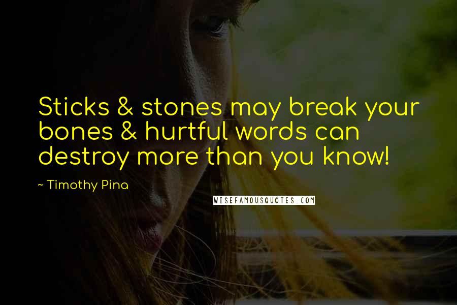 Timothy Pina Quotes: Sticks & stones may break your bones & hurtful words can destroy more than you know!