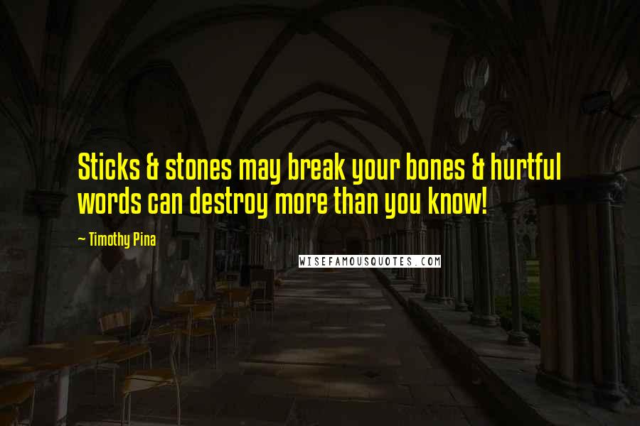 Timothy Pina Quotes: Sticks & stones may break your bones & hurtful words can destroy more than you know!