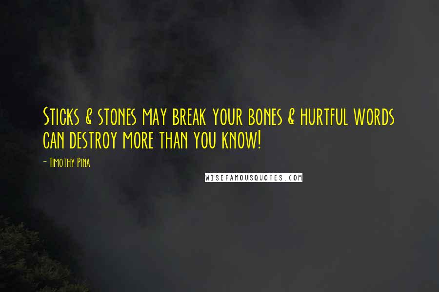 Timothy Pina Quotes: Sticks & stones may break your bones & hurtful words can destroy more than you know!