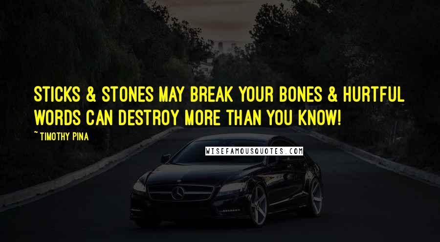 Timothy Pina Quotes: Sticks & stones may break your bones & hurtful words can destroy more than you know!