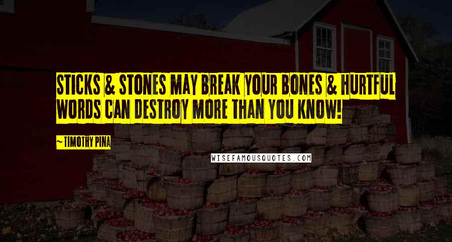 Timothy Pina Quotes: Sticks & stones may break your bones & hurtful words can destroy more than you know!