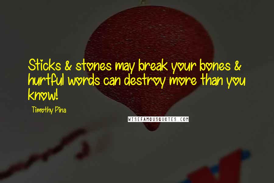 Timothy Pina Quotes: Sticks & stones may break your bones & hurtful words can destroy more than you know!