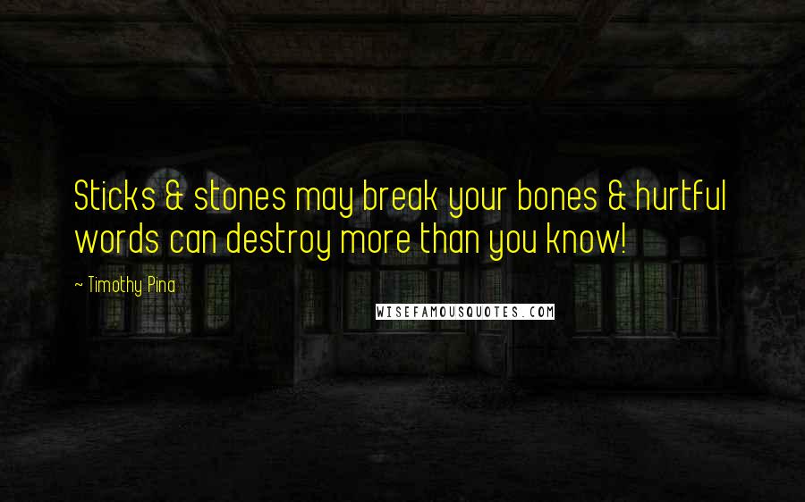 Timothy Pina Quotes: Sticks & stones may break your bones & hurtful words can destroy more than you know!