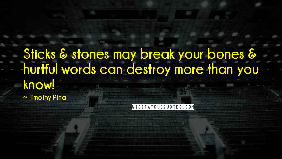 Timothy Pina Quotes: Sticks & stones may break your bones & hurtful words can destroy more than you know!