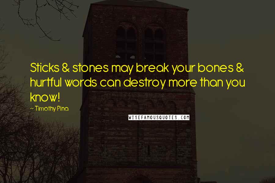 Timothy Pina Quotes: Sticks & stones may break your bones & hurtful words can destroy more than you know!