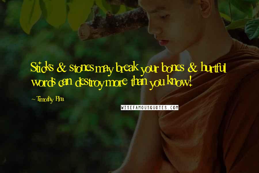 Timothy Pina Quotes: Sticks & stones may break your bones & hurtful words can destroy more than you know!