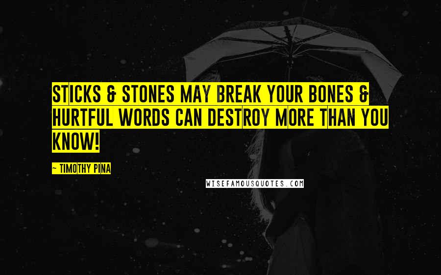 Timothy Pina Quotes: Sticks & stones may break your bones & hurtful words can destroy more than you know!