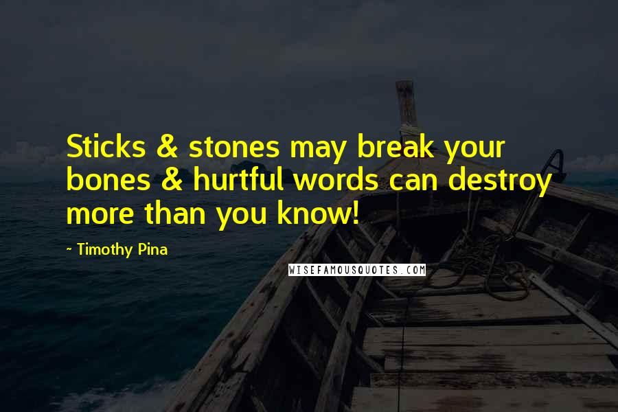 Timothy Pina Quotes: Sticks & stones may break your bones & hurtful words can destroy more than you know!