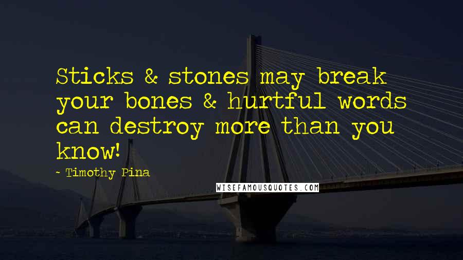 Timothy Pina Quotes: Sticks & stones may break your bones & hurtful words can destroy more than you know!