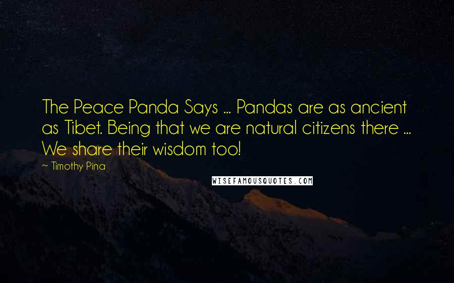 Timothy Pina Quotes: The Peace Panda Says ... Pandas are as ancient as Tibet. Being that we are natural citizens there ... We share their wisdom too!