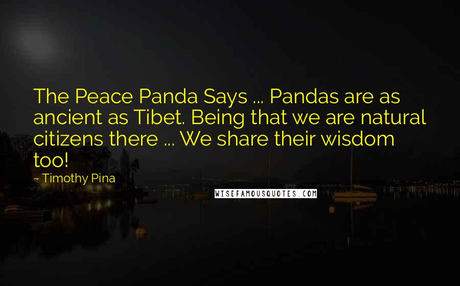 Timothy Pina Quotes: The Peace Panda Says ... Pandas are as ancient as Tibet. Being that we are natural citizens there ... We share their wisdom too!