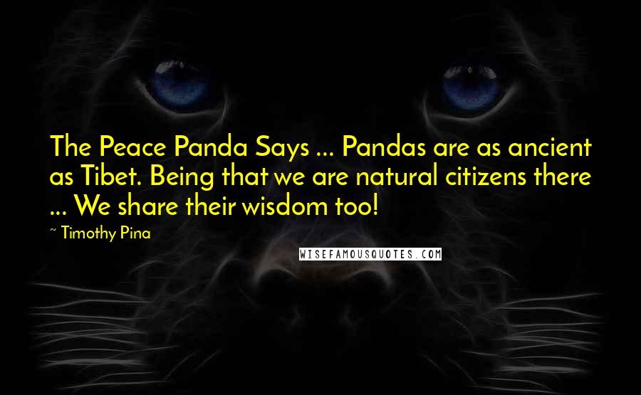 Timothy Pina Quotes: The Peace Panda Says ... Pandas are as ancient as Tibet. Being that we are natural citizens there ... We share their wisdom too!