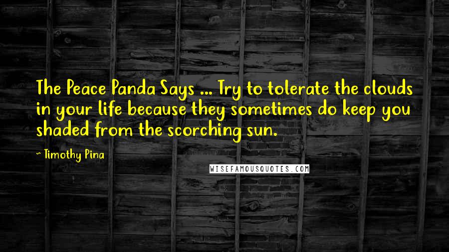 Timothy Pina Quotes: The Peace Panda Says ... Try to tolerate the clouds in your life because they sometimes do keep you shaded from the scorching sun.