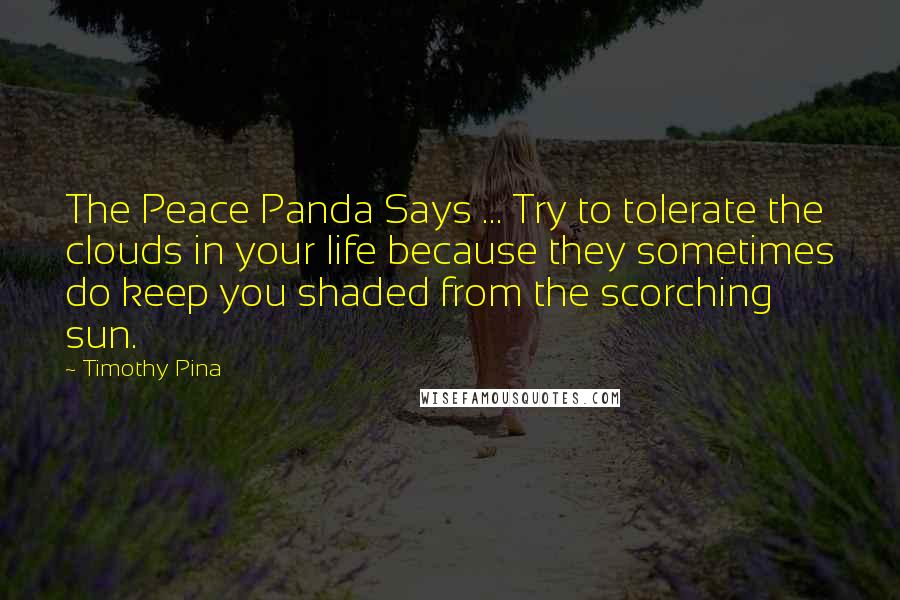 Timothy Pina Quotes: The Peace Panda Says ... Try to tolerate the clouds in your life because they sometimes do keep you shaded from the scorching sun.